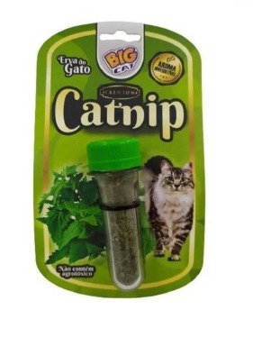 CATNIP ERVA DE GATO