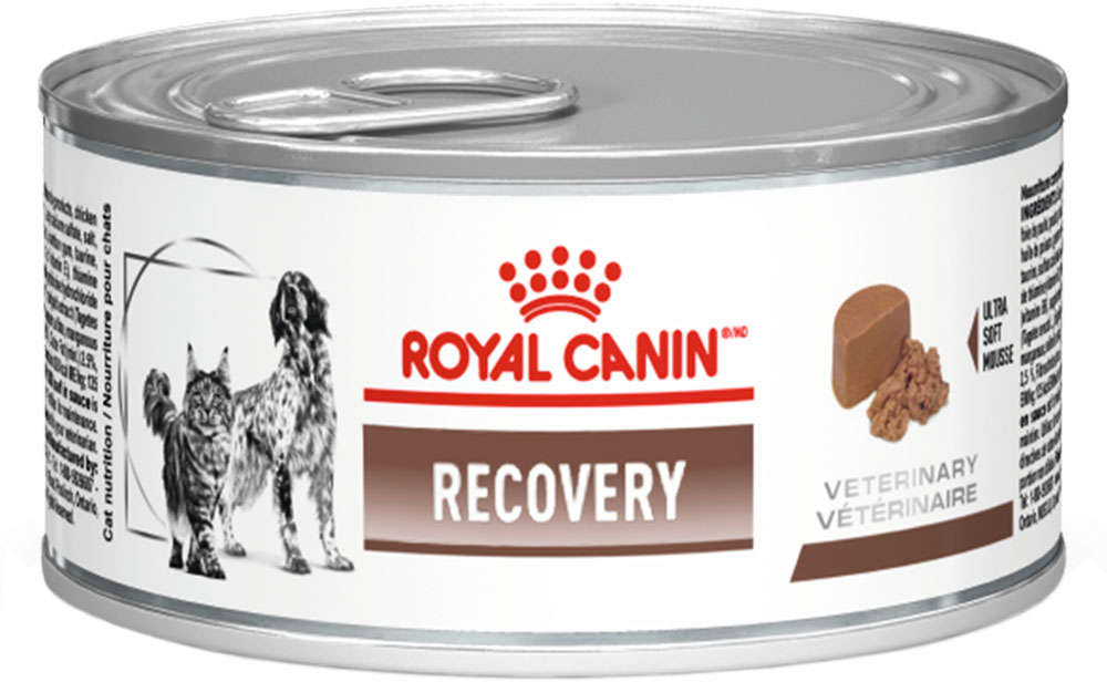 LATA ROYAL CANIN RECOVERY PARA CAES E GATOS 195G